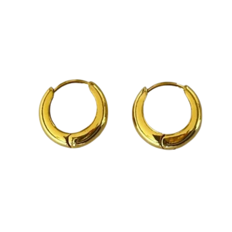 Aretes Hoops - E335