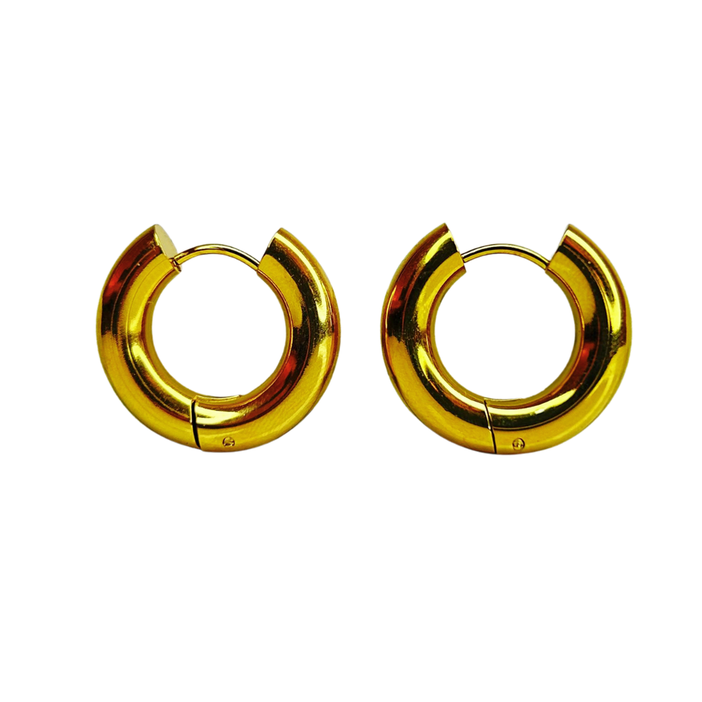 E322B Aretes Hoops