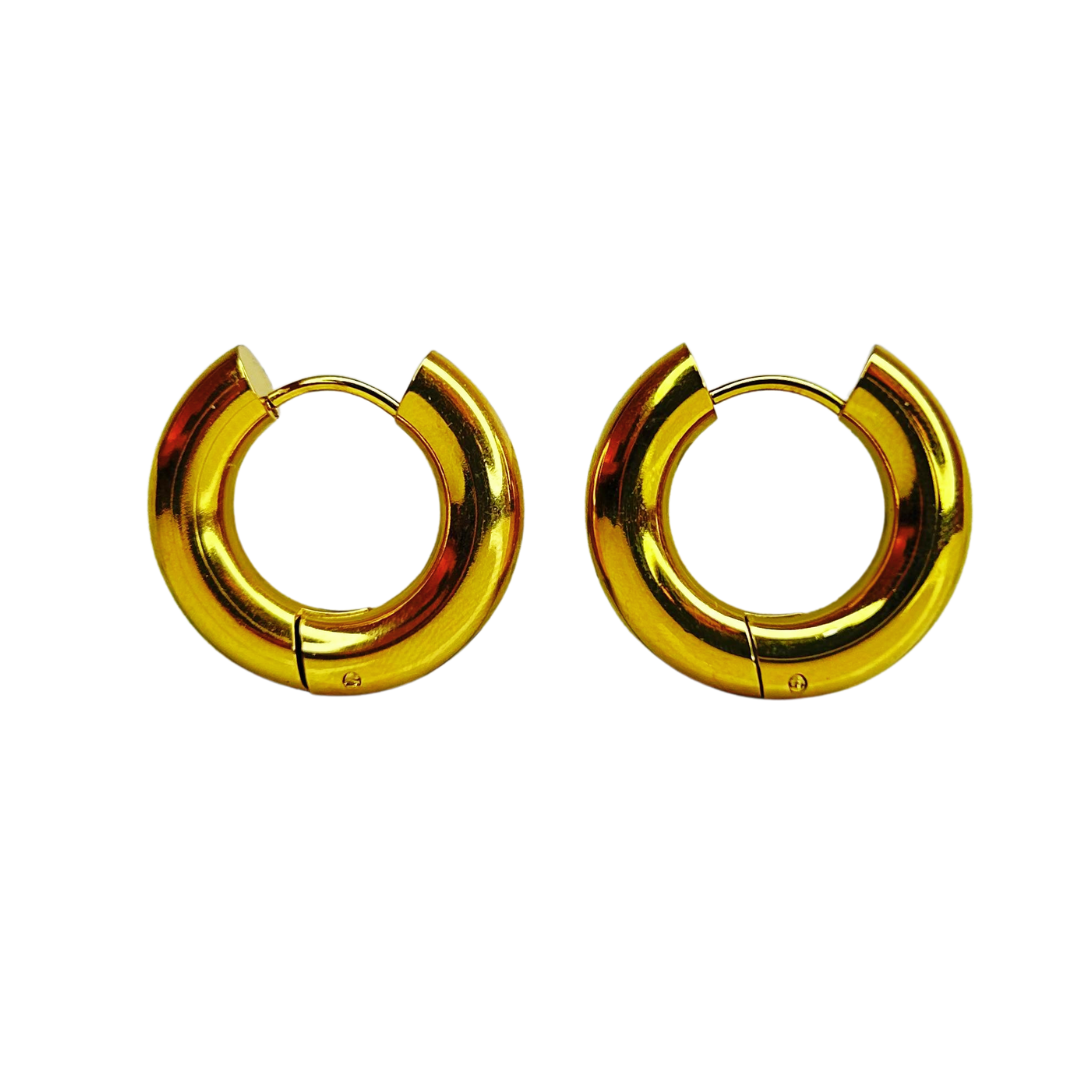 E322B Aretes Hoops