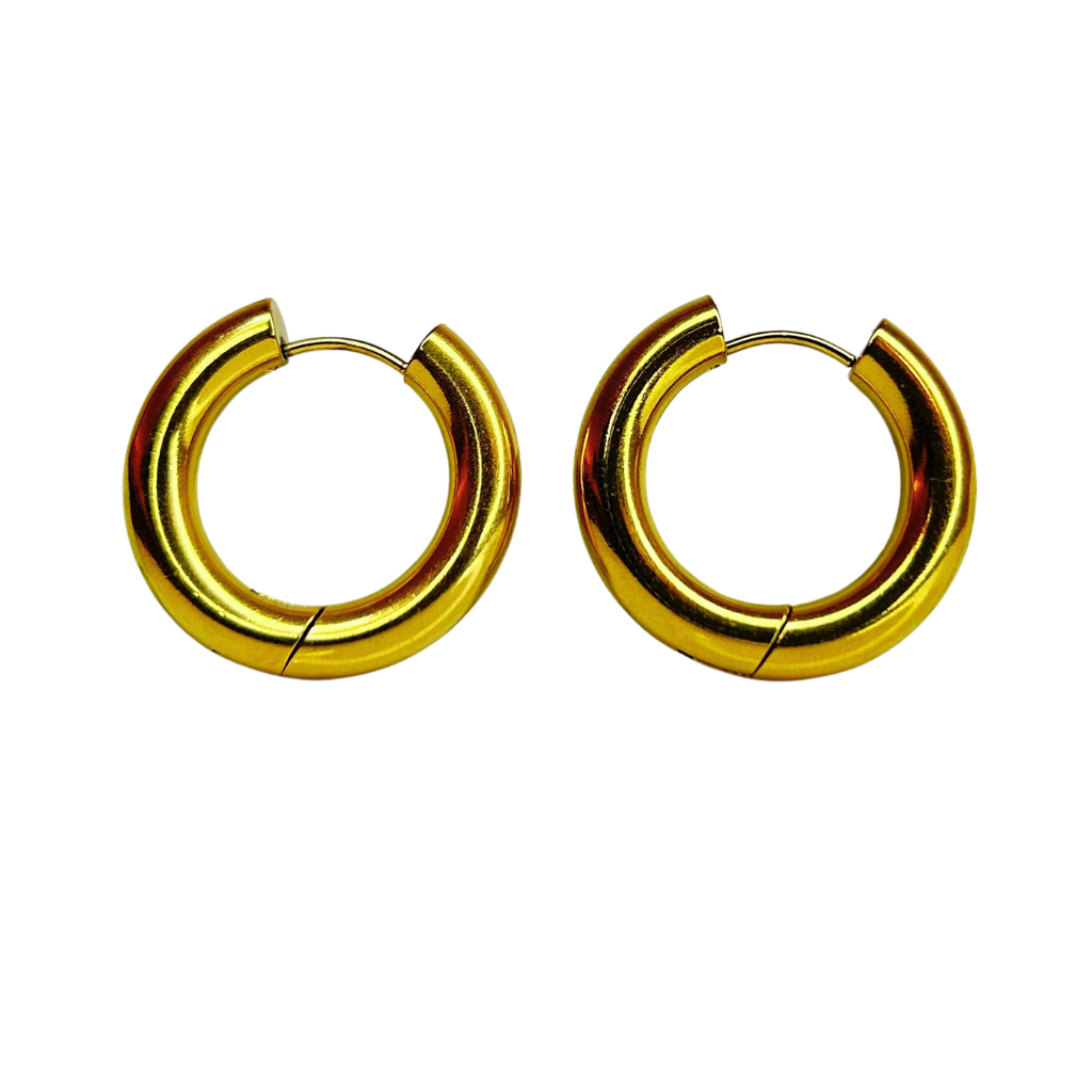 E322C Aretes Hoops