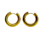 E322C Aretes Hoops