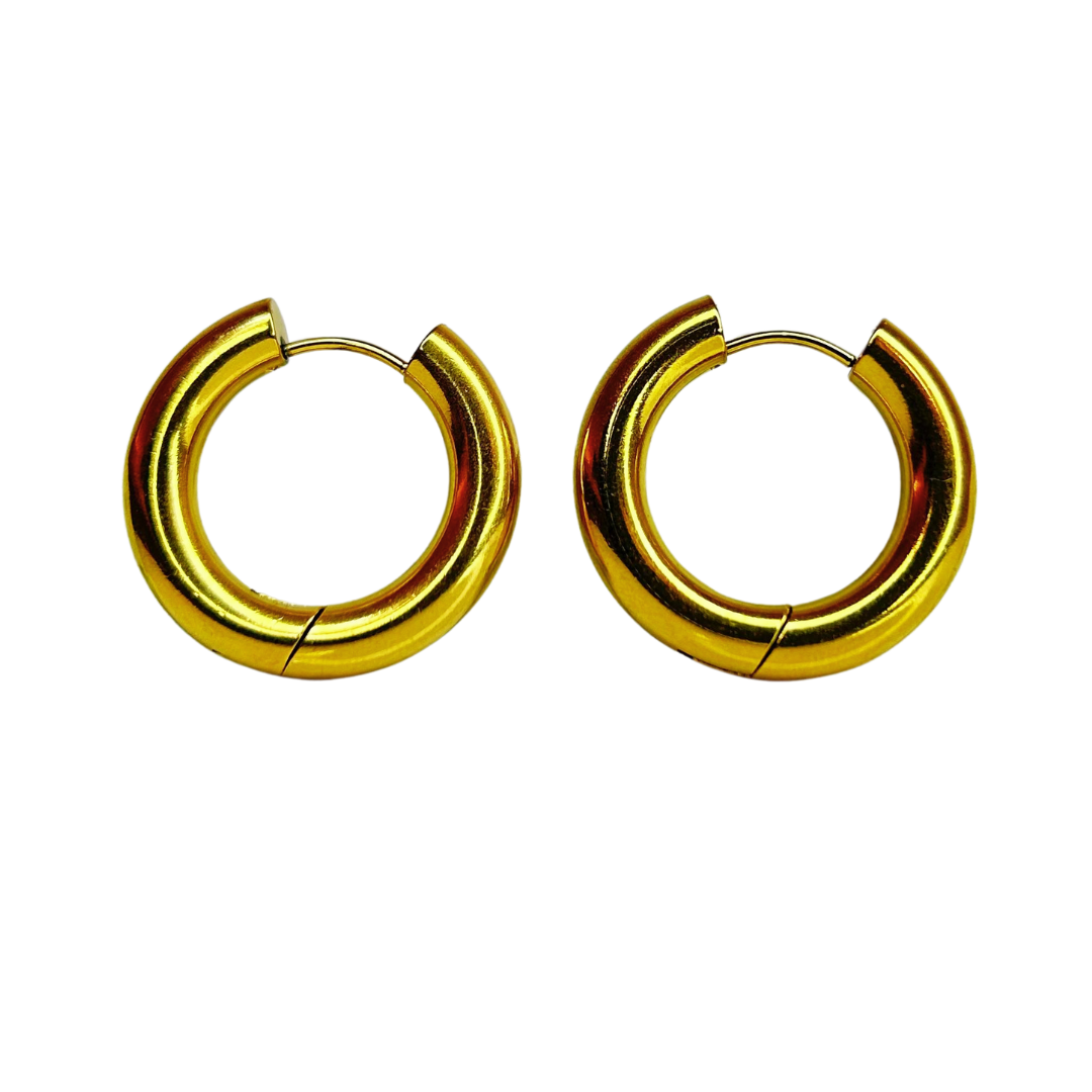 E322C Aretes Hoops