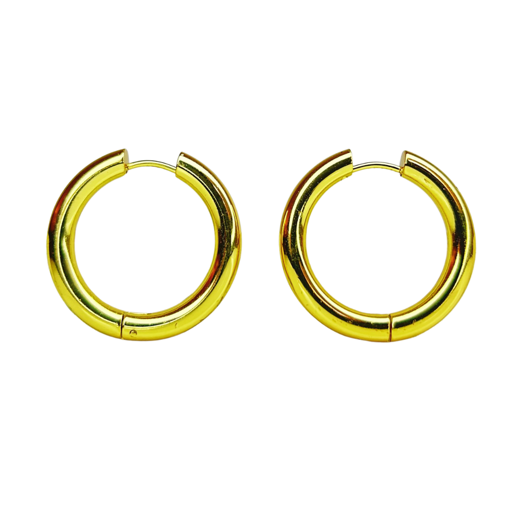 E324A Aretes Hoops
