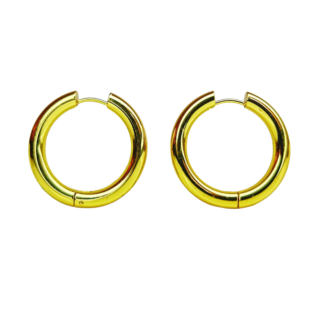 E324A Aretes Hoops