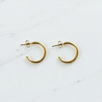 Aretes Hoops - E320