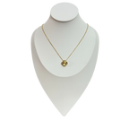 Collar Classic