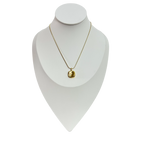 Collar Classic - N403A