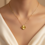 Collar Classic
